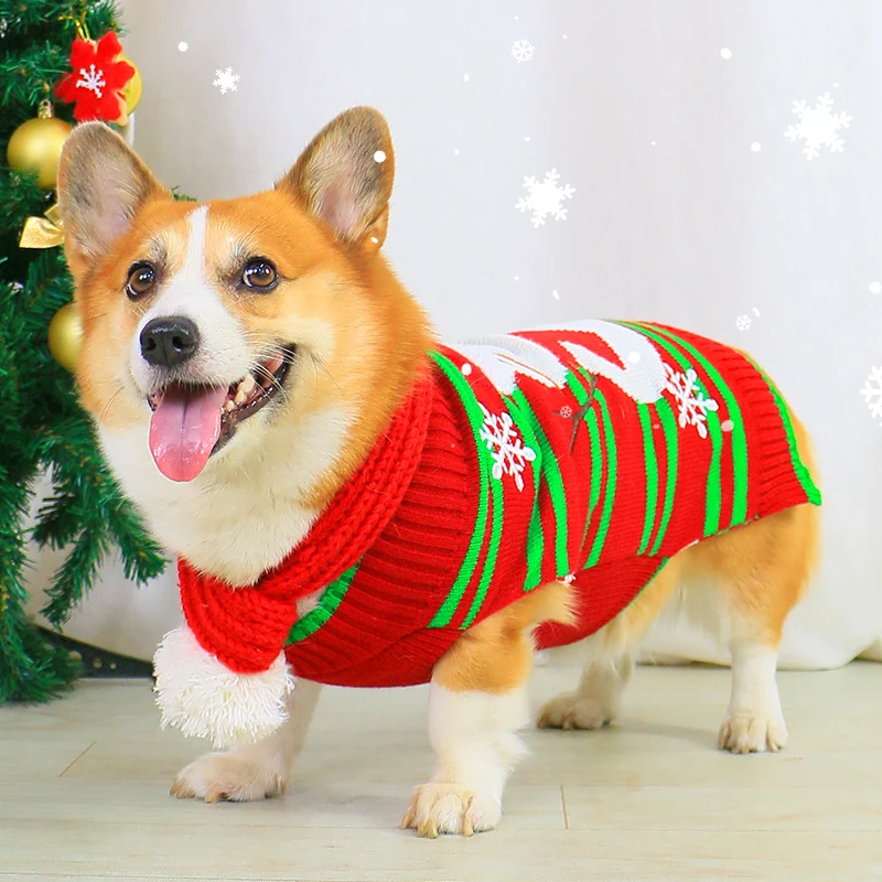 宠物狗狗衣服秋冬款圣诞可爱柯基可爱围脖毛衣冬季冬装小型犬泰迪