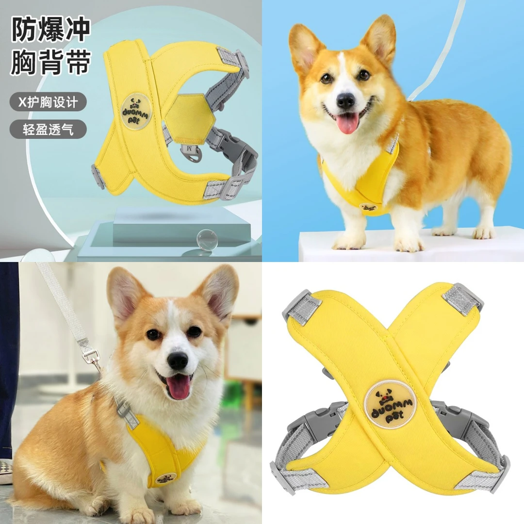 宠物狗狗牵引绳防爆冲舒适便携可爱遛狗小型犬泰迪爆冲外出胸背带