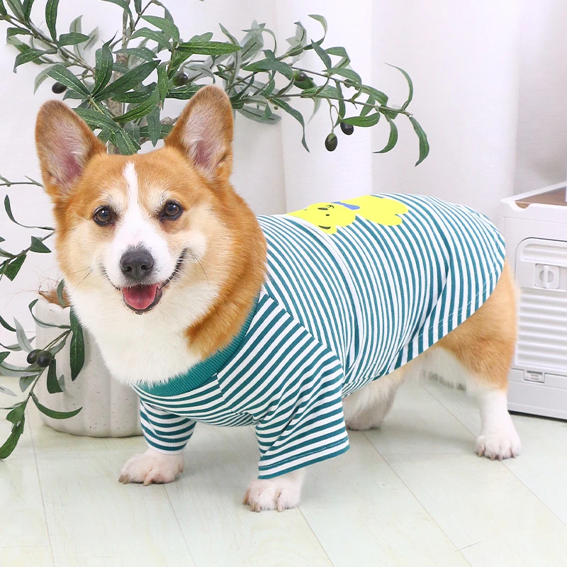 宠物狗狗薄款衣服夏季夏装柯基泰迪中型犬小型犬2025新款网红背心