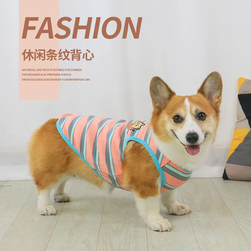 宠物柯基狗狗秋冬款中型犬小型犬条纹冬季秋冬衣服背心泰迪春秋款