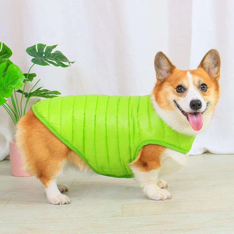 宠物狗狗衣服秋冬款网红加厚保暖冬装2024新款柯基泰迪柴犬中型犬