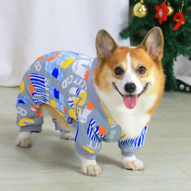 宠物狗狗衣服秋冬款冬款冬天加厚保暖潮牌四脚护肚柯基泰迪小型犬