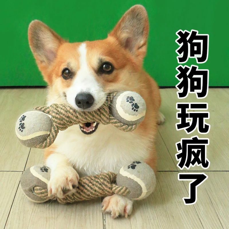 狗狗绳结玩具解闷神器小型犬磨牙耐咬宠物玩具柯基喜欢的玩具用品