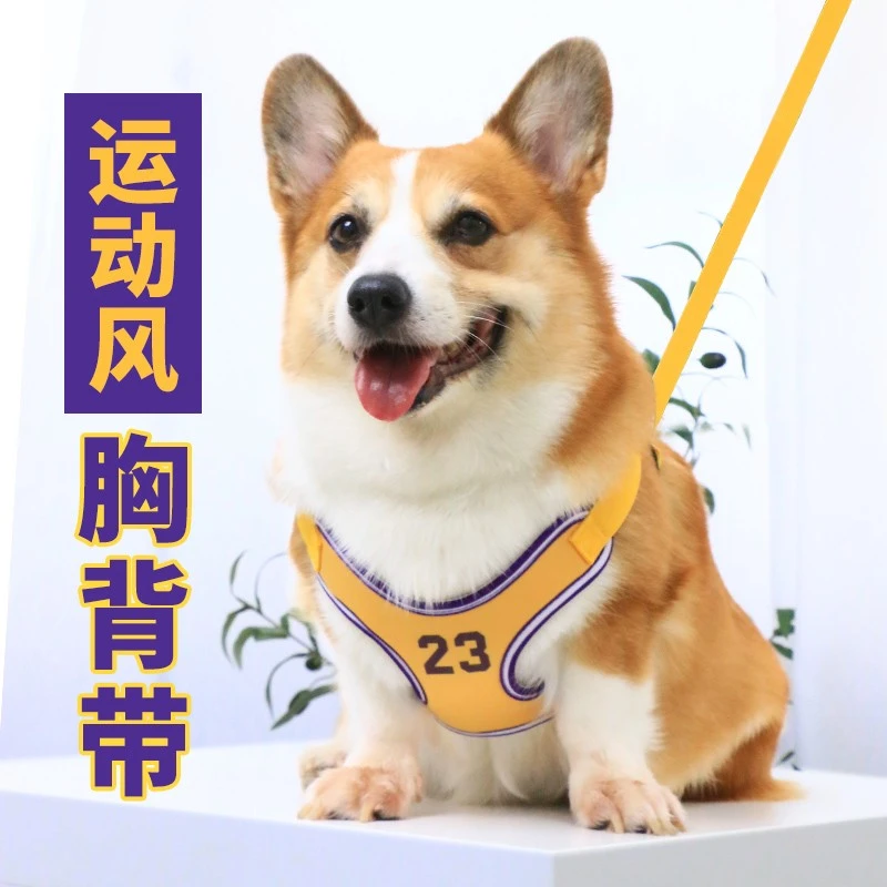 宠物狗狗胸背带牵引绳背心式小型犬中型犬狗绳项圈外出运动遛狗绳