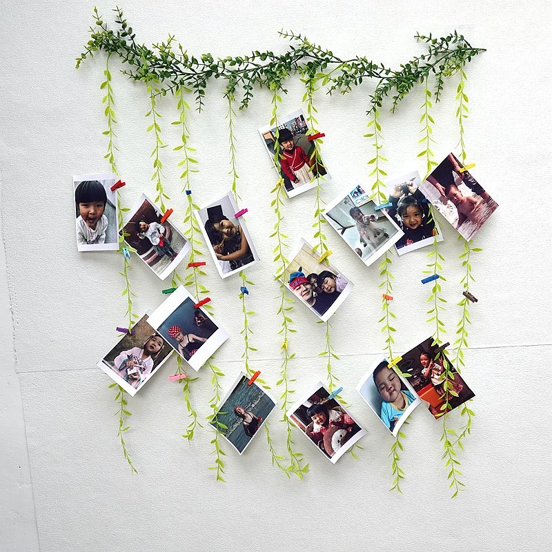 2023网红照片墙尤加利藤柳条组合展示墙挂相片免打孔教室布置装饰