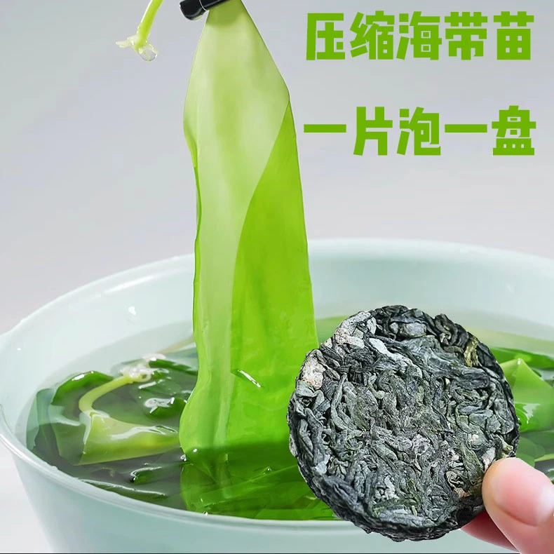 福建霞浦海带苗烘干压缩小包装免洗小海带嫩苗海带芽凉拌火锅12g