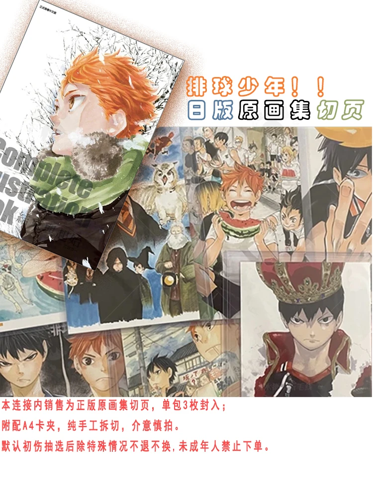 【水獭水獭】排球少年 日版原画集切页 单包3张正反6面 附A4卡夹