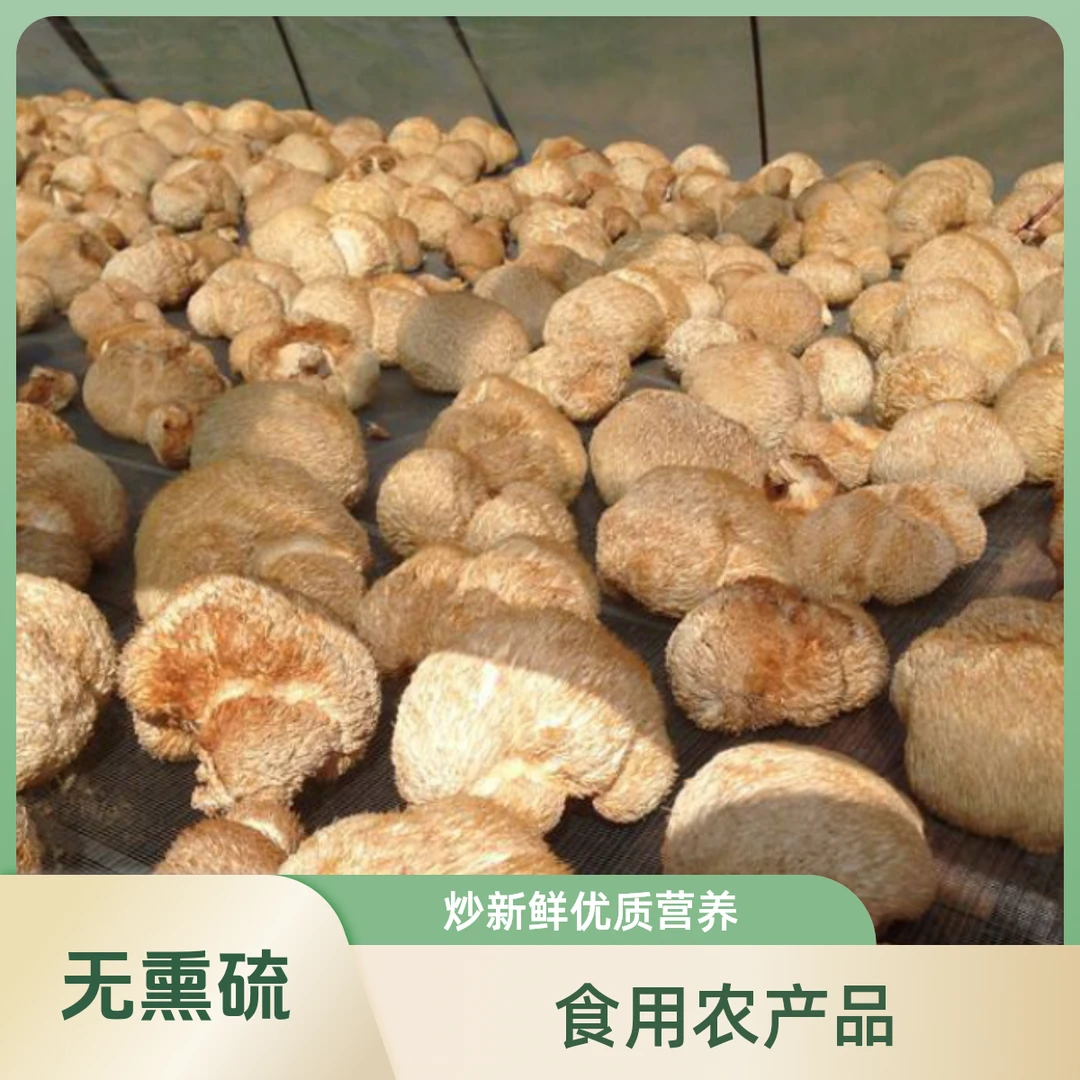 东北干货猴头菇无熏硫 煲汤火锅 炒新鲜优质营养