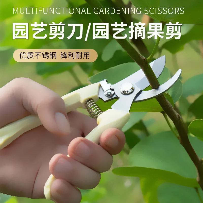 鲜花盆景绿植园艺剪刀直头剪刀弯头剪刀盆栽粗枝剪摘果剪剪枝工具