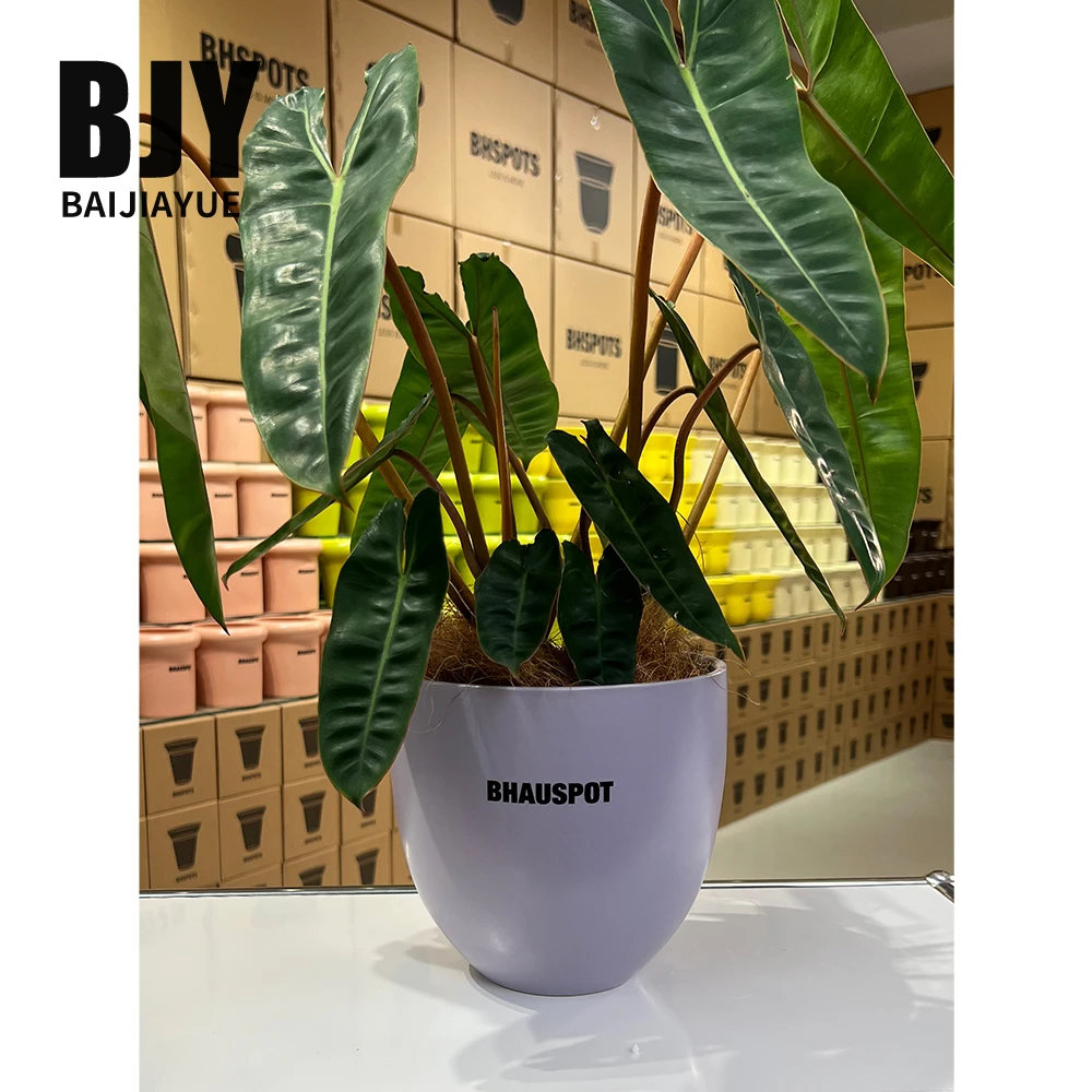 中号北欧极简蛋型陶瓷花盆现代简约多巴胺家居桌面热植花盆网红款