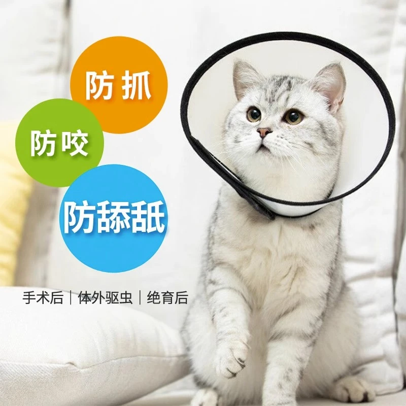 金多乐伊丽莎白圈猫咪狗狗脖圈柯基幼猫头套猫圈绝育防咬防舔圈