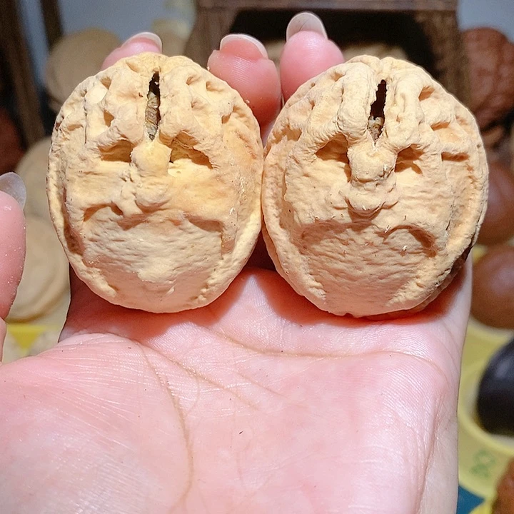 野生鬼脸乾坤核桃
