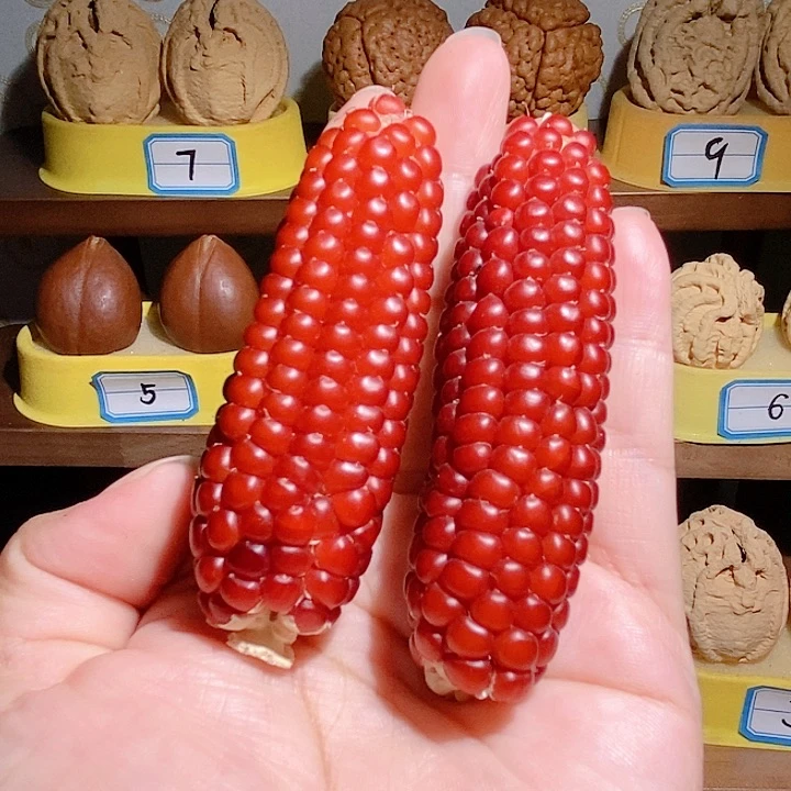 天然原生态植物玉米