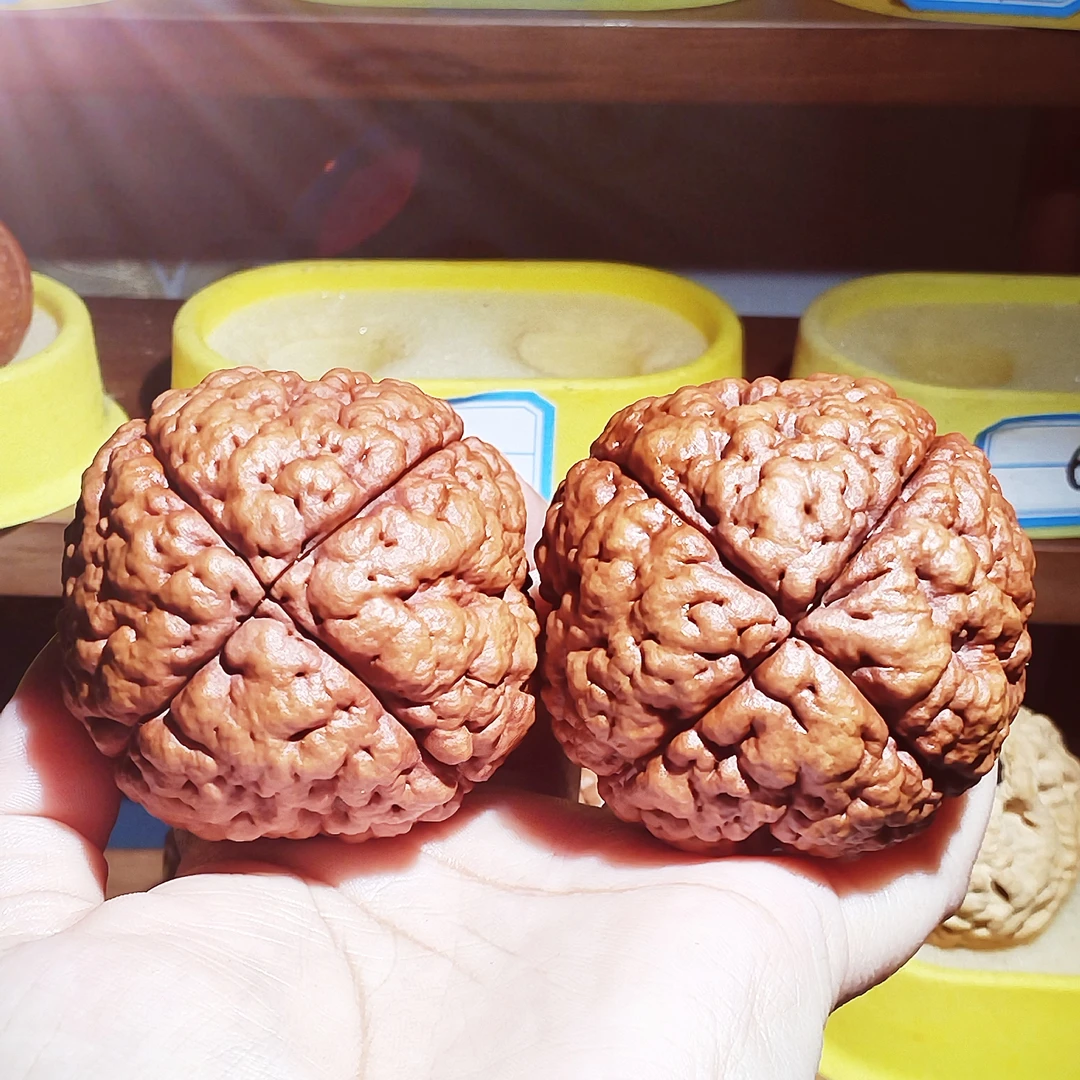 精品野生四瓣脑文大金刚58×61克重243