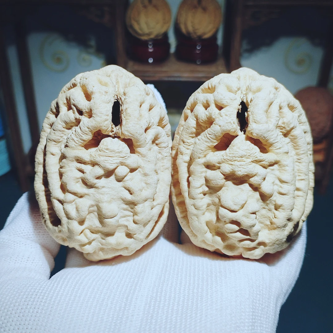 野生鬼脸乾坤核桃混世大魔王