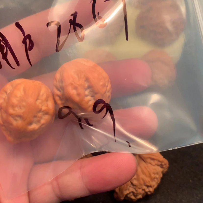 【闪购商品】核桃核雕用****0
