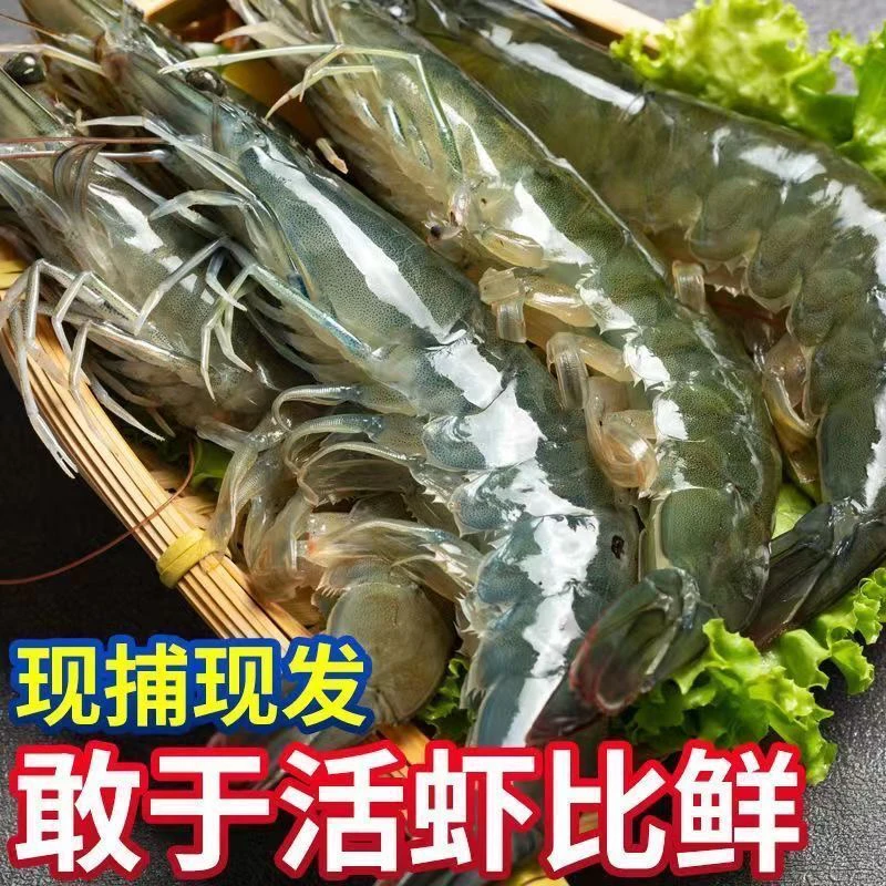微山湖自家养殖冷冻南北美对虾新鲜明虾大虾白美味虾饱满鲜嫩紧实