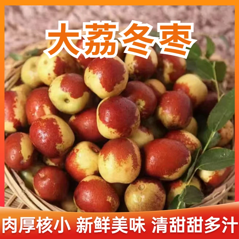 陕西大荔县冬枣5斤包邮脆甜新鲜个大饱满优质冬枣提前尝鲜实惠叶