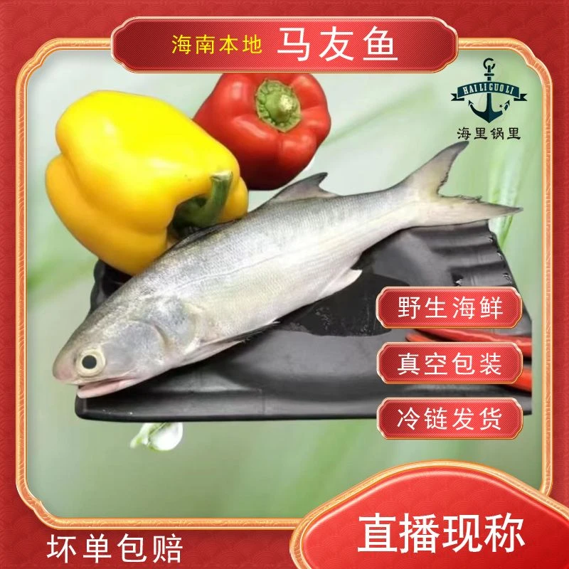 斤一条海南新鲜【马友鱼】直播，现秤现拍