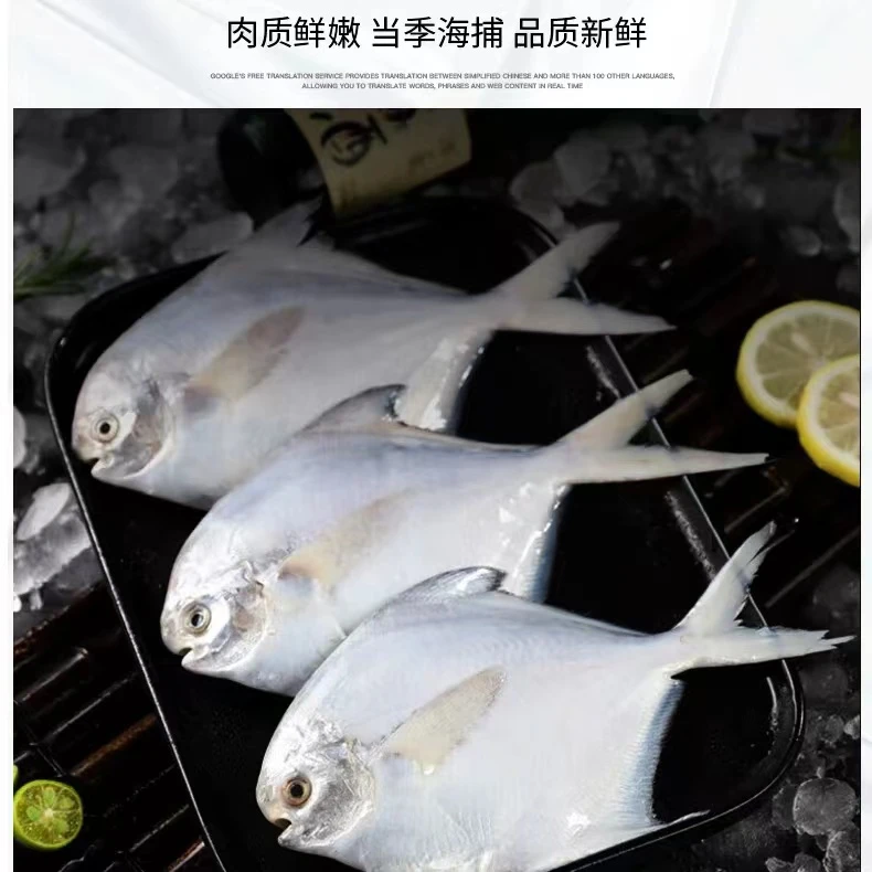 大连当地鲳鱼 （冷冻）以直播间画面为准