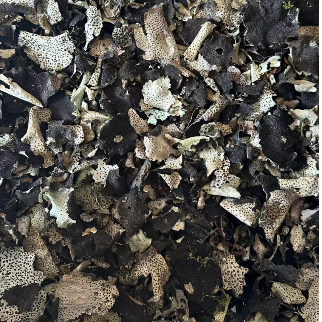 【西藏野生石耳】