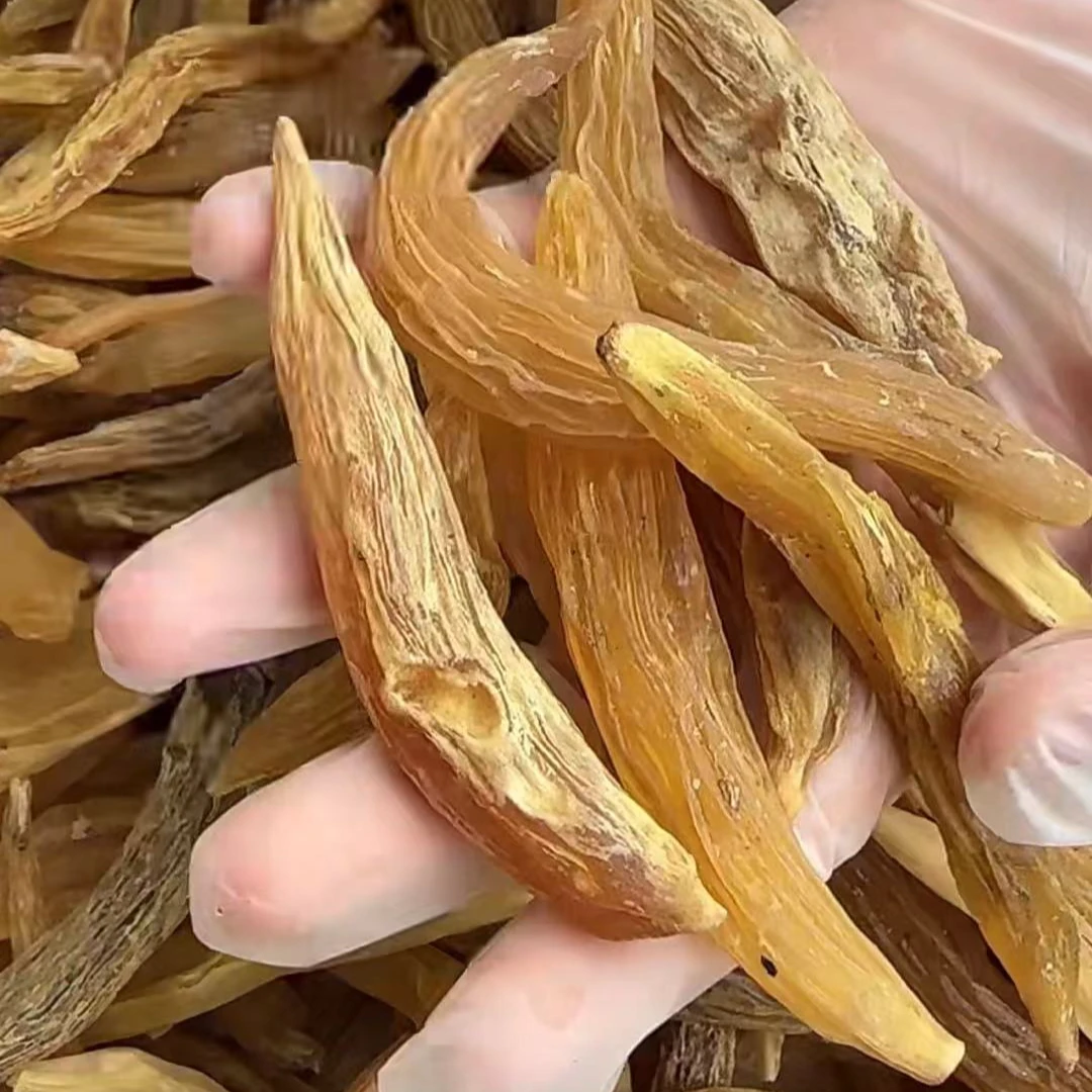 【野生天门冬】