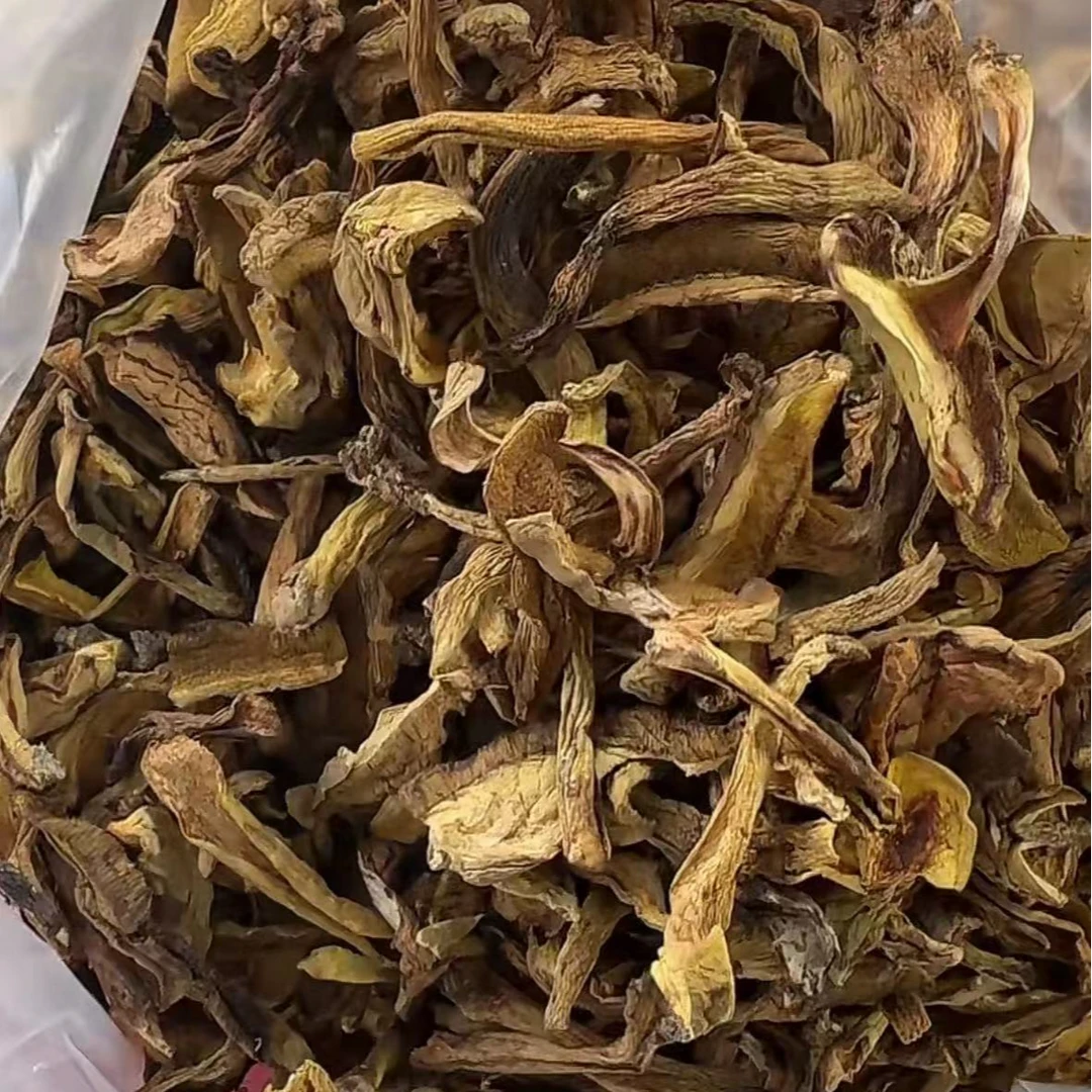 【西藏野生黄牛肝菌】