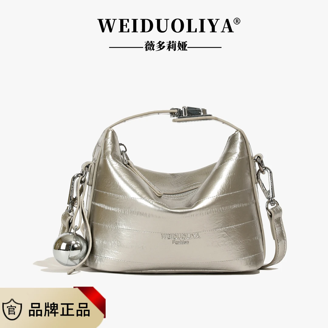 爆款小众银色云朵包包女式2024新款夏天洋气手拎包单肩斜跨便当包