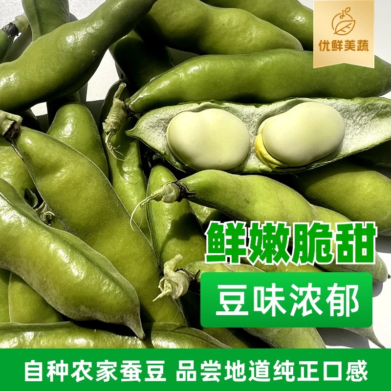 【特价】云南新鲜蚕豆带壳罗汉豆胡豆黑腰豆现摘现发