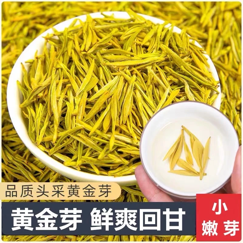头采特级 黄金芽2025年新茶春茶原产地嫩芽兰花香高山绿茶
