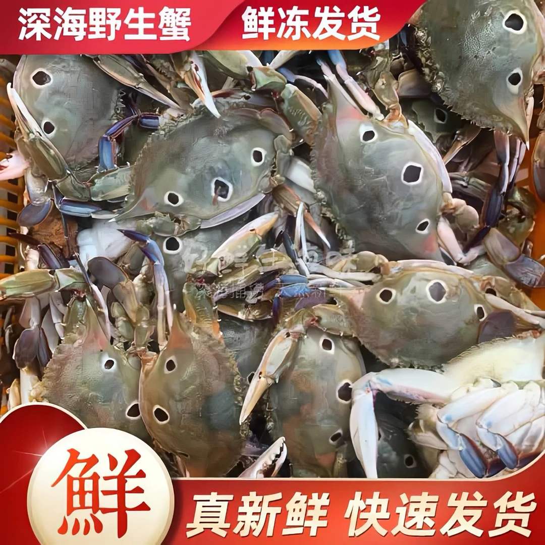 惠来神泉浅海三点蟹 5 斤广东省包邮