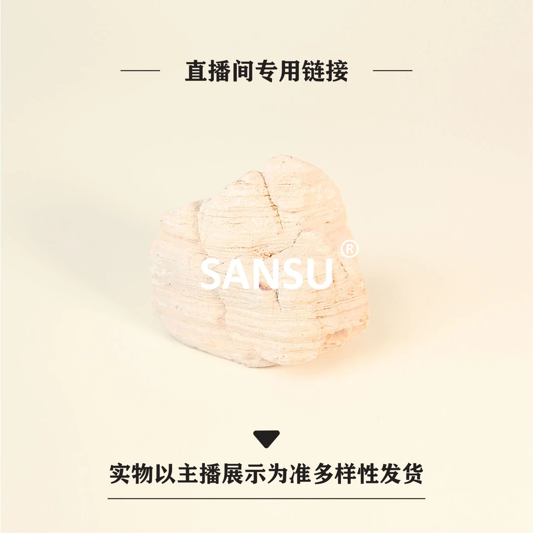 【叁素叁山】直播专用太行崖柏陈化料多样性发货主播展示为准