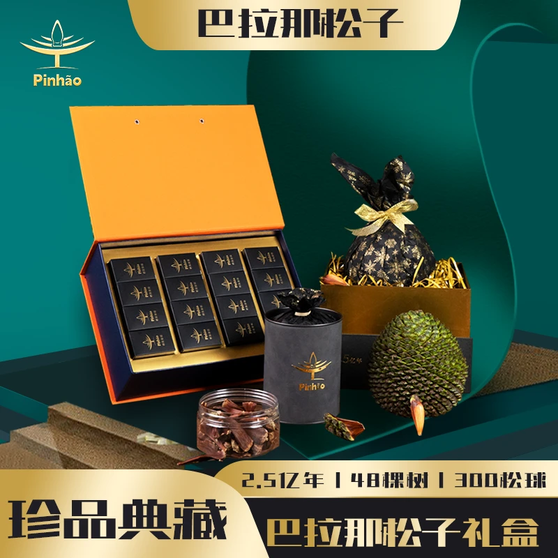 【巴拉那松子】原味熟食巴拉那松子礼盒新奇礼品送礼收藏送长辈送领