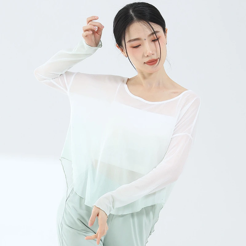 古典舞蹈服飘逸身韵渐变纱衣中国舞现代舞练功服表演服装艺考上衣