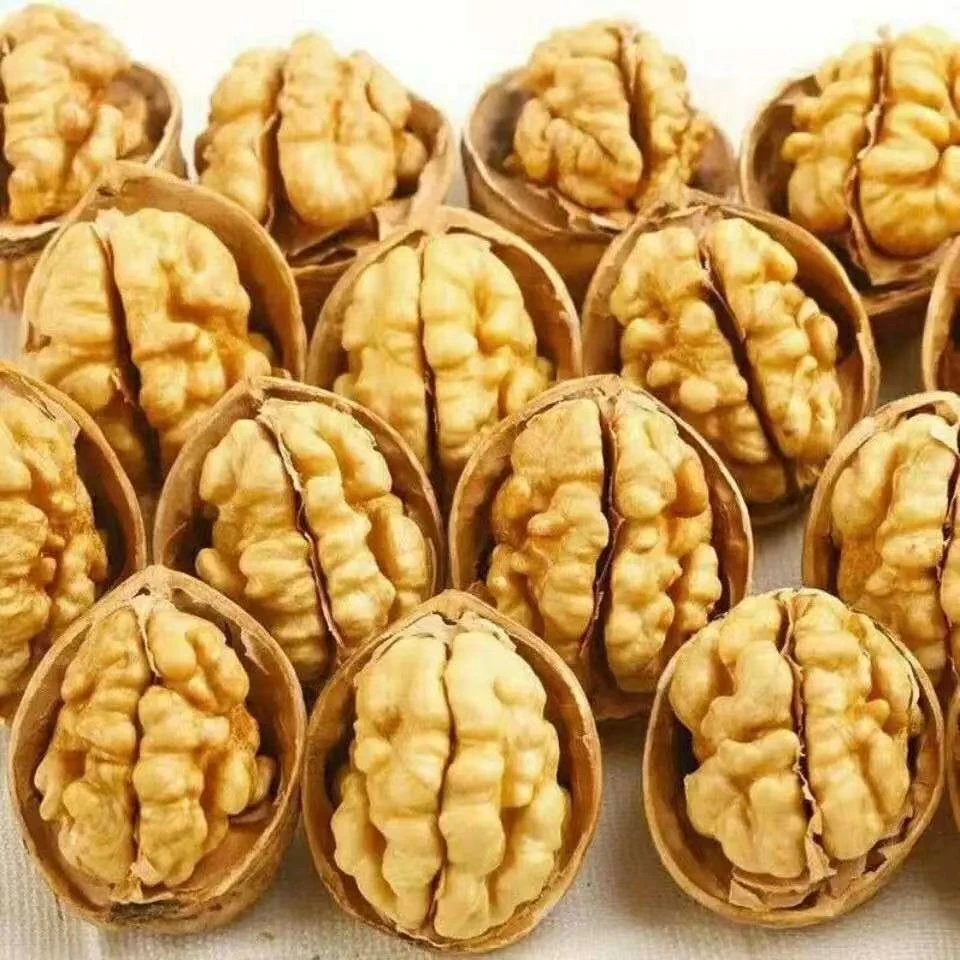 新疆阿克苏烤皮核桃薄皮250g袋装营养食用饱满皮薄美味批发零售