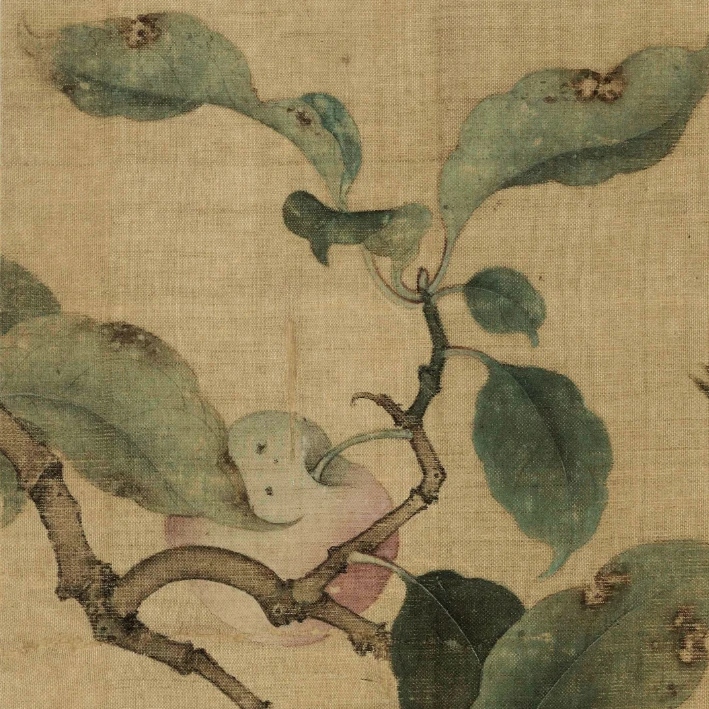唐辉建《果熟来禽图》临摹课二