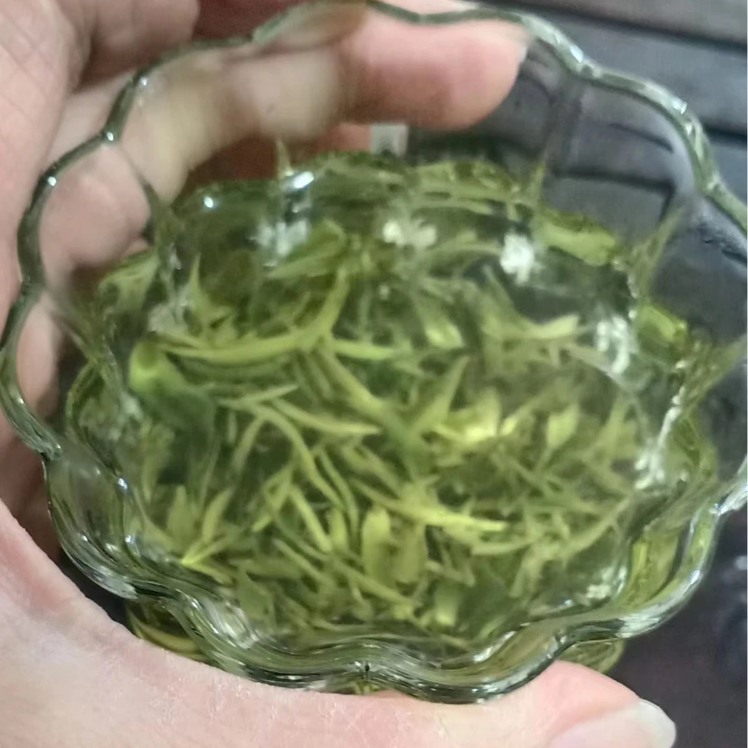 新鲜茶叶红安七里坪野生春眉茶绿茶