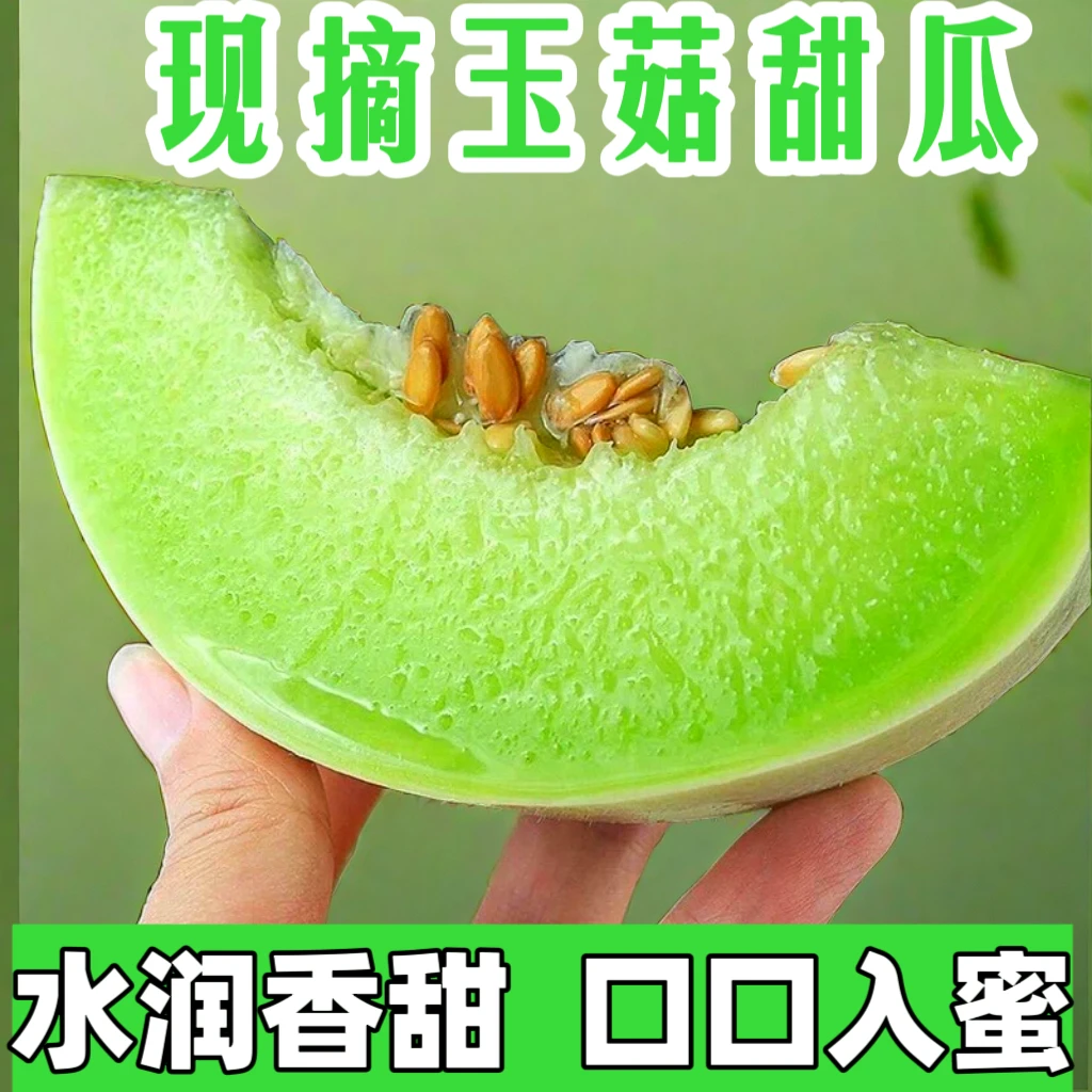 【新鲜采摘】正宗玉菇甜瓜当季新鲜水果冰淇淋甜瓜清香蜜瓜甜蜜甘甜