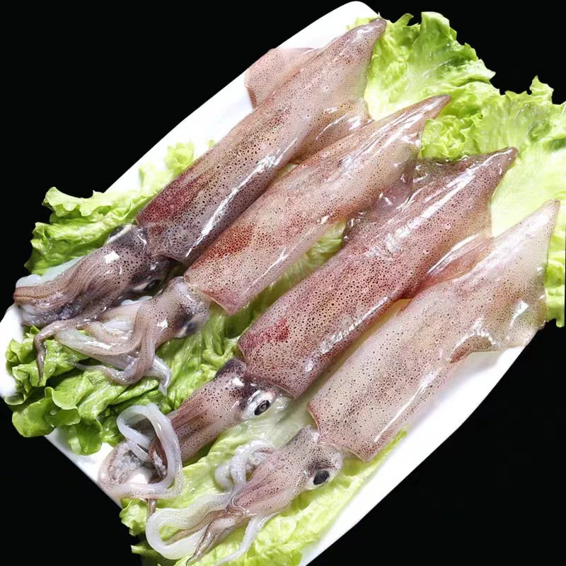 湛江本港新鲜灯光鱿鱼