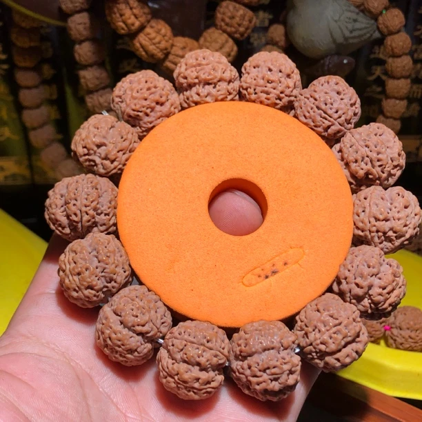 蜂王爆肉双龙纹，尺寸21左右，姜黄皮，深度清理干净，高油高密籽