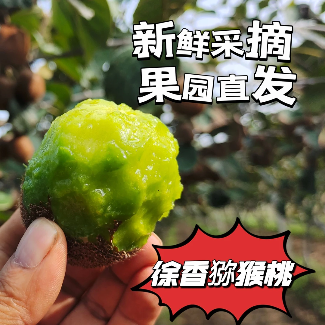 陕西眉县｜【徐香猕猴桃 】酸甜刚刚好老少孕妇皆宜自家果园现摘现发