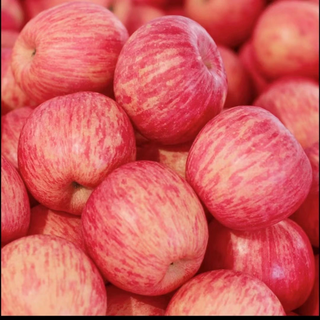 【农家果园】山东冰糖心红富士苹果当季水果新鲜脆甜苹果3/5斤整箱