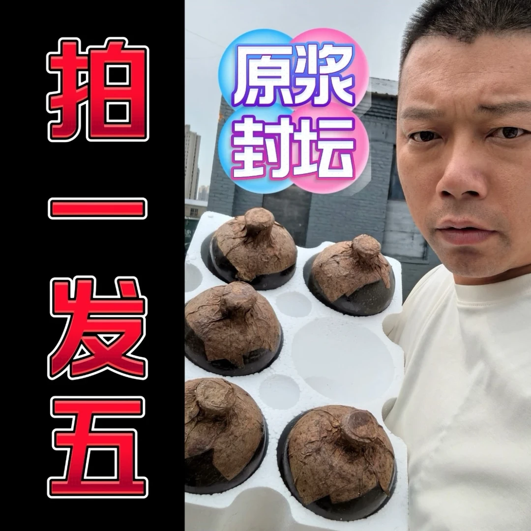 金来组合小封坛原浆封坛白酒（发五坛＋赠250ml试喝）52度500毫升/坛