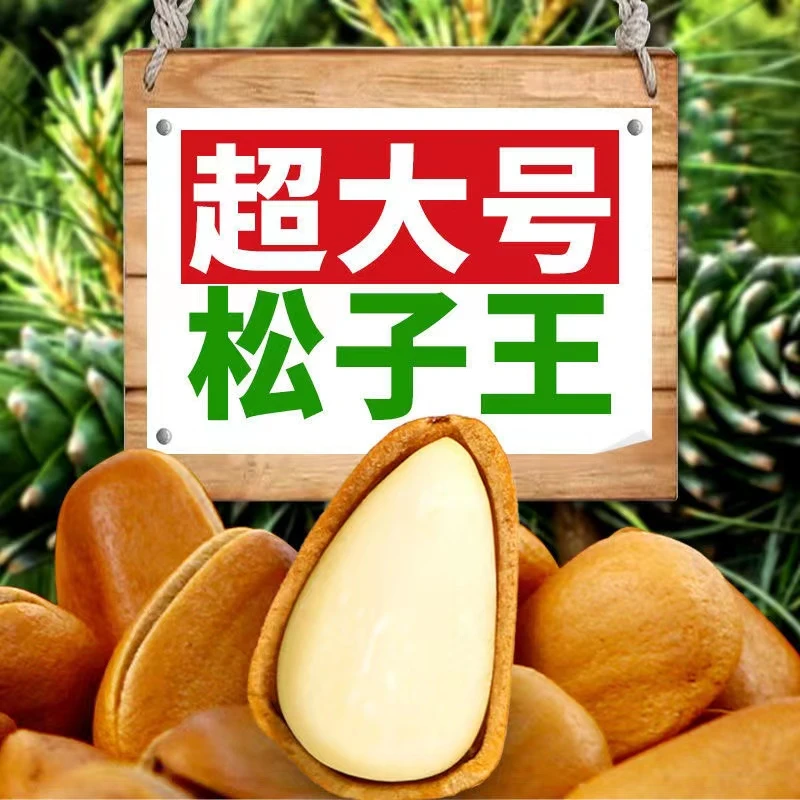【净重新货】2023开口东北松子500g坚果松籽仁红松非特级零食