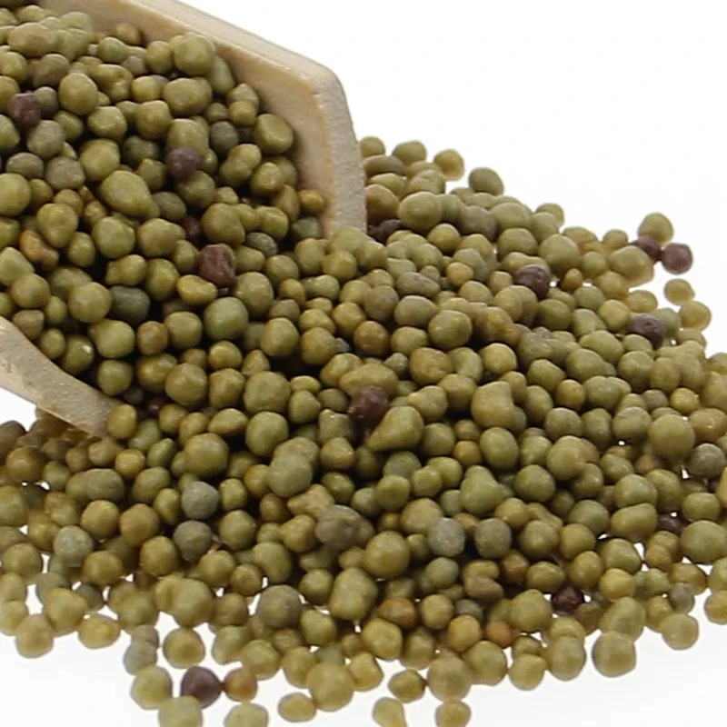 【福利 奥绿A2】朱顶红肥料