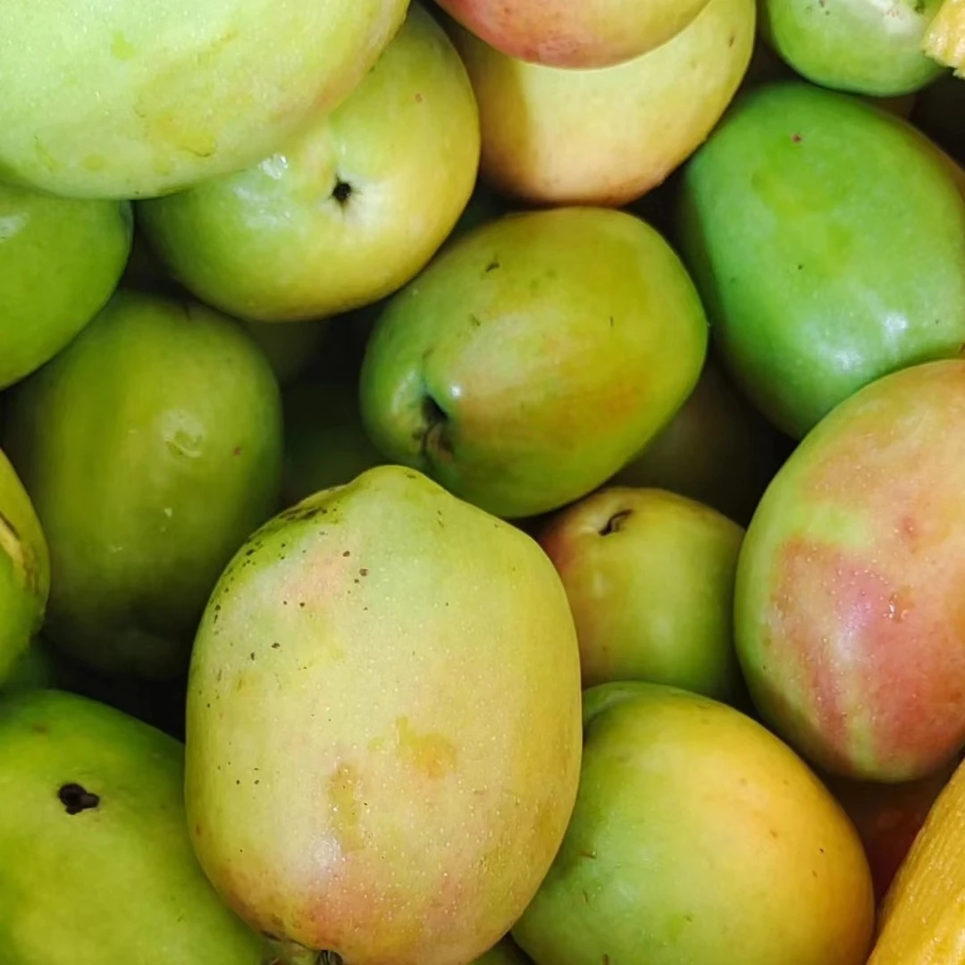 云南德宏酸木瓜 芒市新鲜酸木瓜闻着香 送沾辣椒粉煮鱼很美味现货