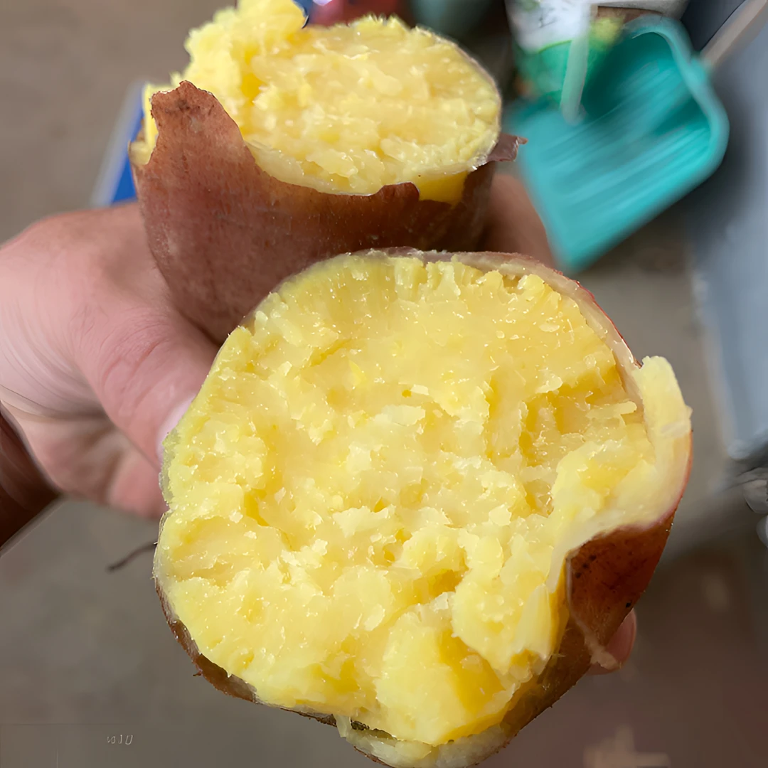 奶奶自种现刨老式生地瓜营养板栗红薯新鲜番薯烤红薯甜薯蒸吃紫薯