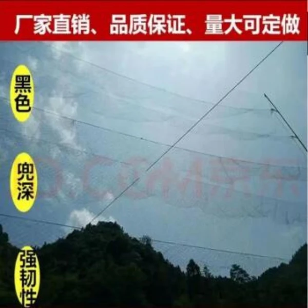 黑丝防鸟用网果园防鸟网天网果树樱桃葡萄鱼塘大棚防护尼龙网
