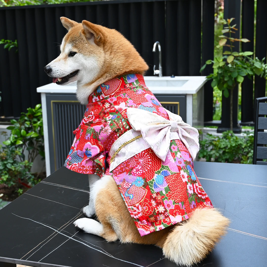 芮柴原创自制宠物狗狗衣服 柯基雪纳瑞柴犬和服拍照摄影服装春夏