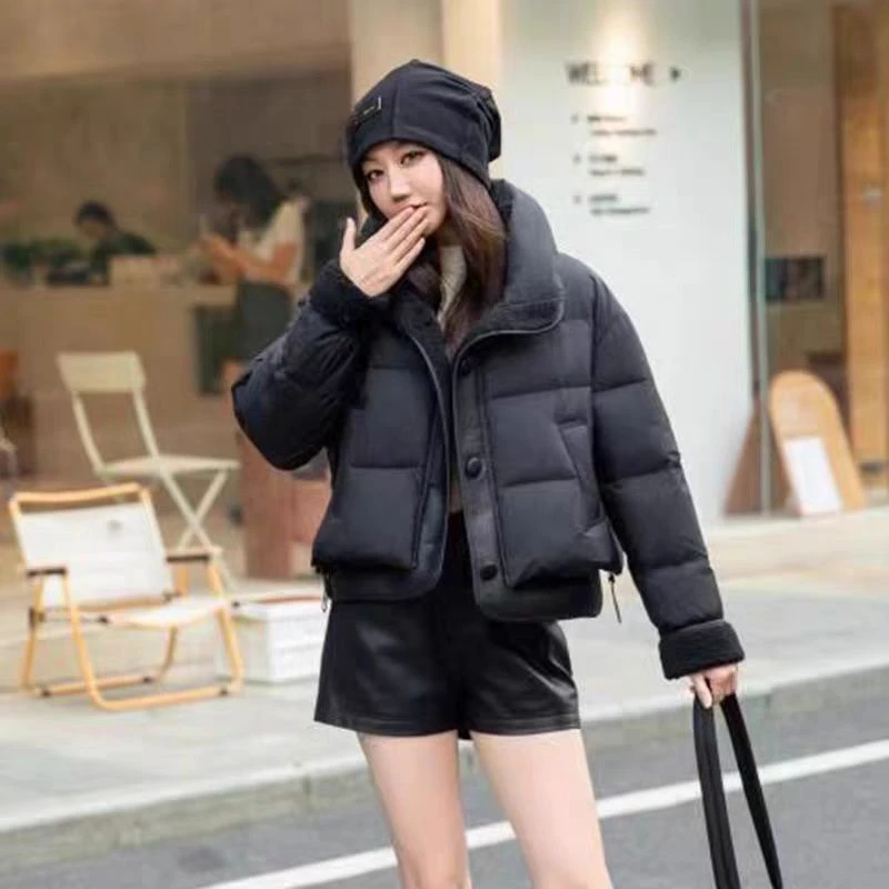 冬装少淑版时尚羽绒服女短款外套绒衣830款